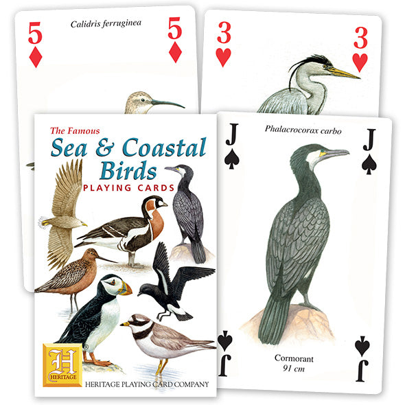 Playing Cards - Sea & Coastal Birds