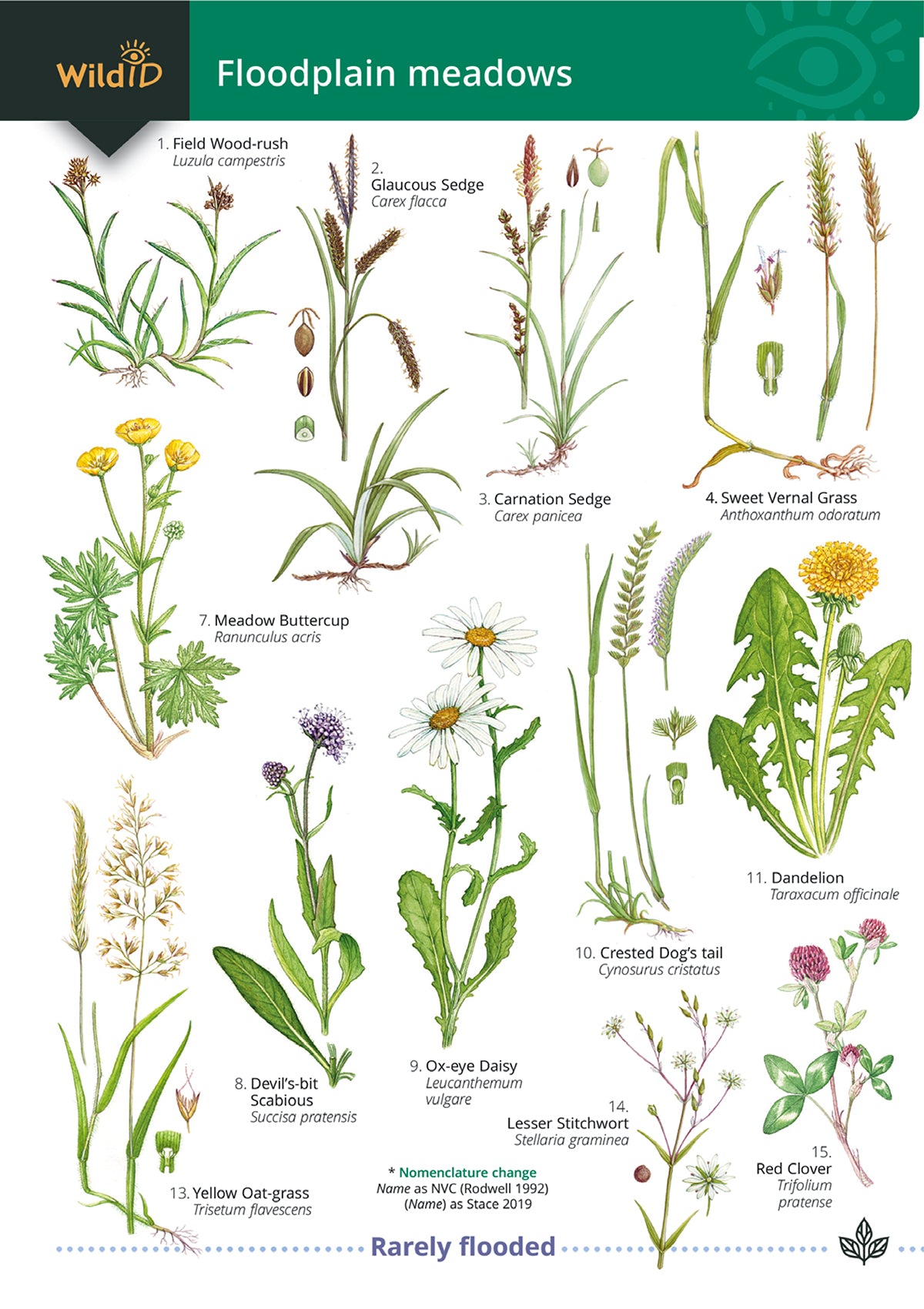 Floodplain Meadows