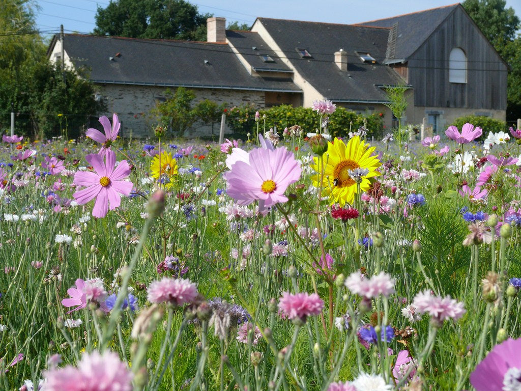 Pocket Meadows