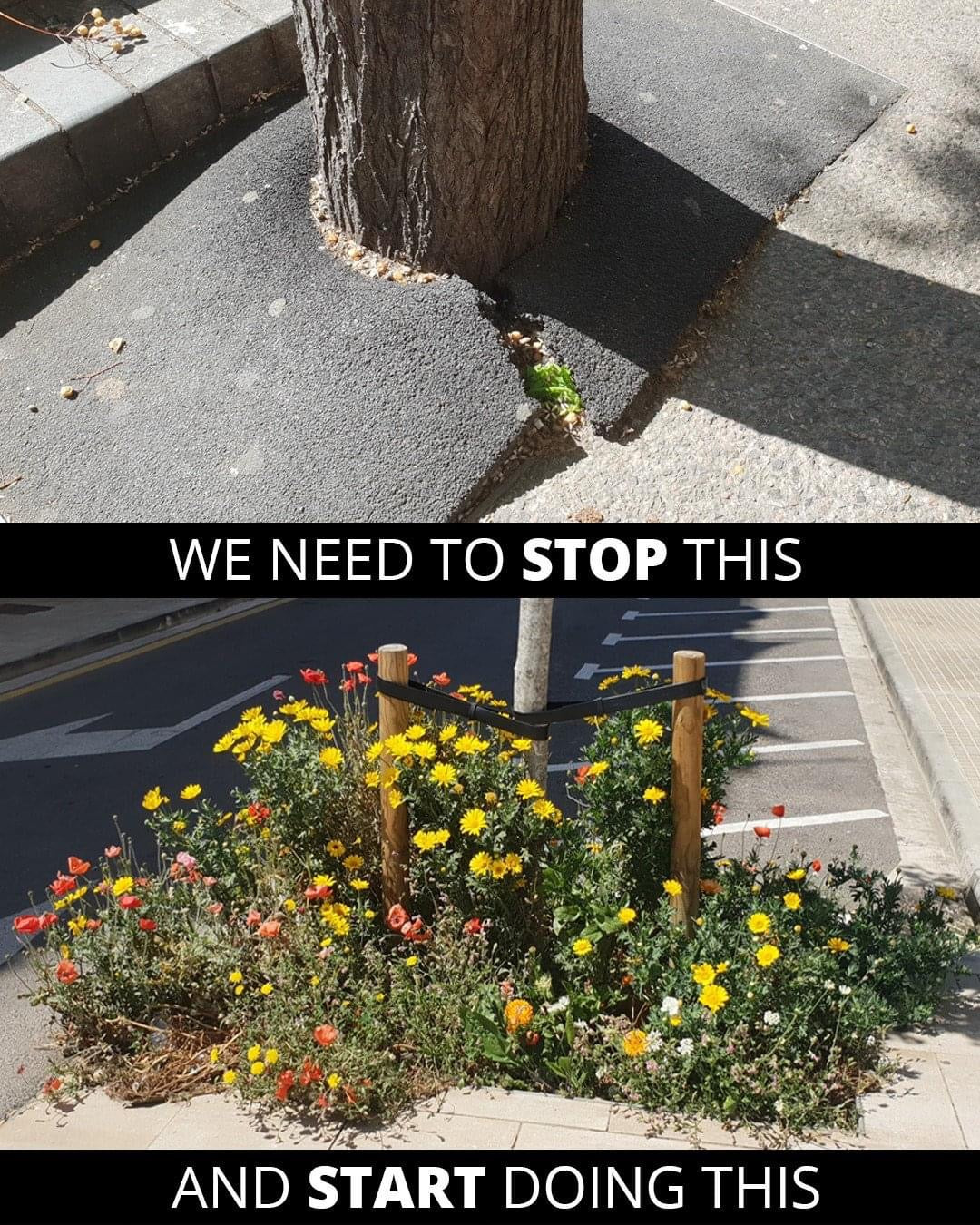 Tree Foot