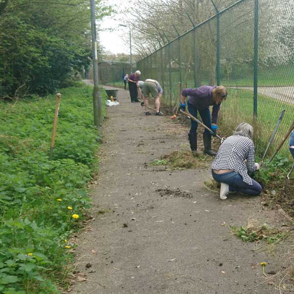 Volunteers clearling an alleyway, ready for sowing with seeds.