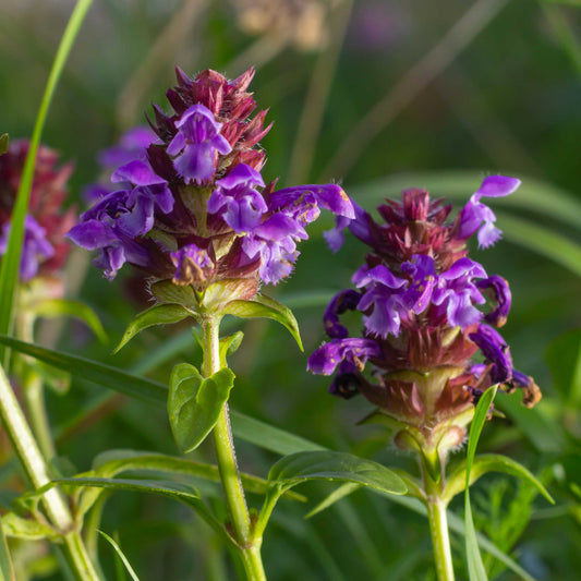Self-heal