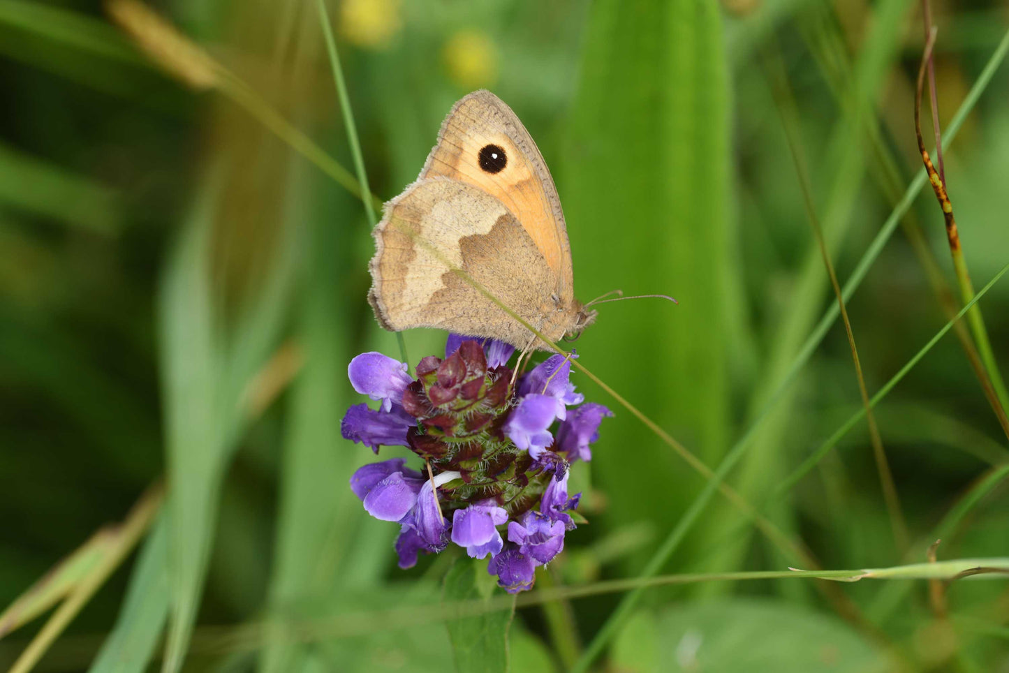 Self-heal