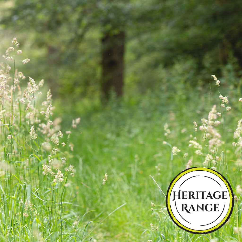 Woodland Grasses