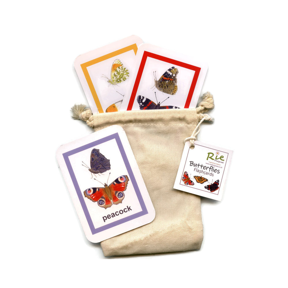 Flash Cards - Butterflies