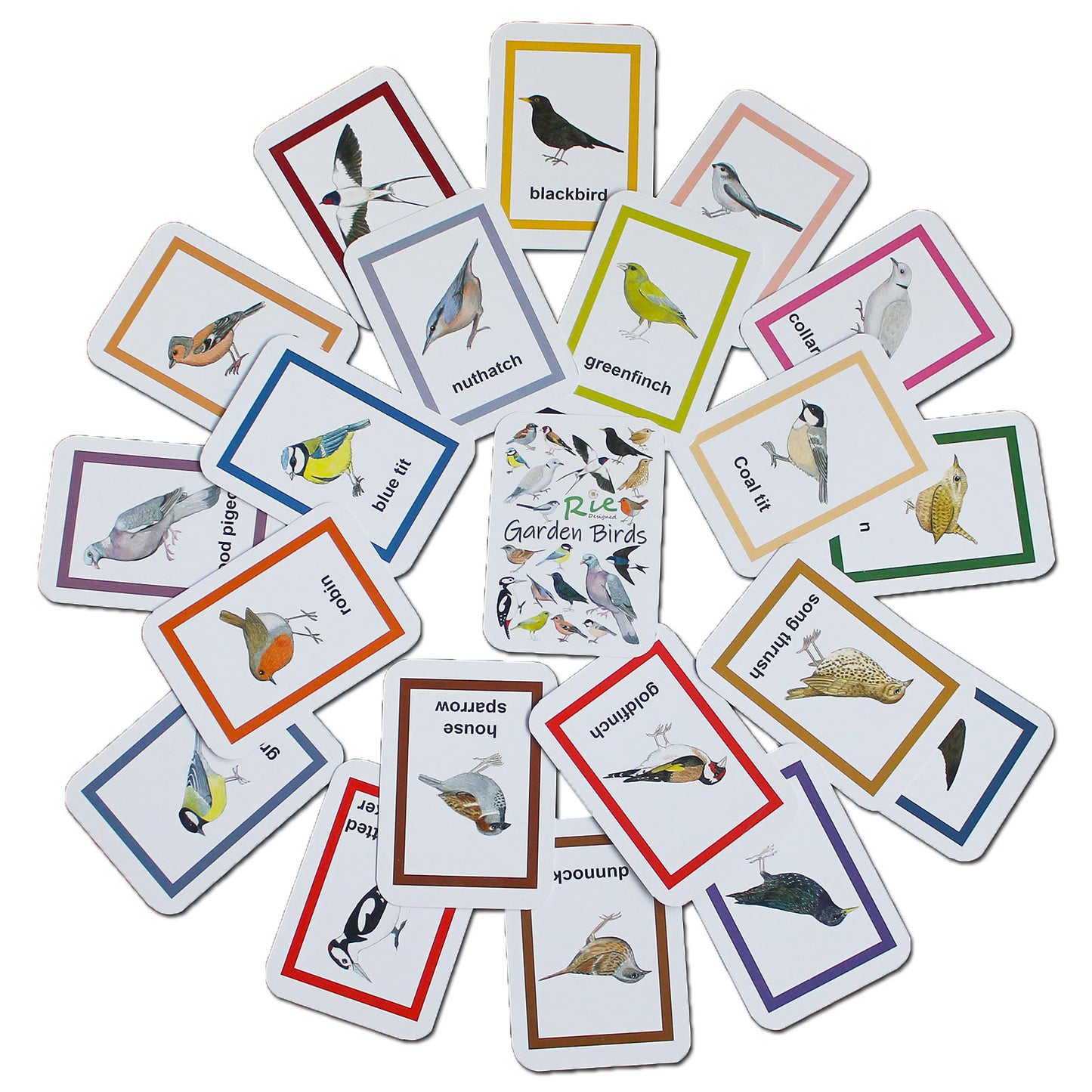 Flash Cards - Garden Birds