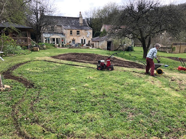 Flower Meadow Consultancy