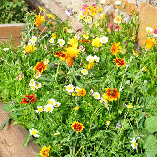 Planters