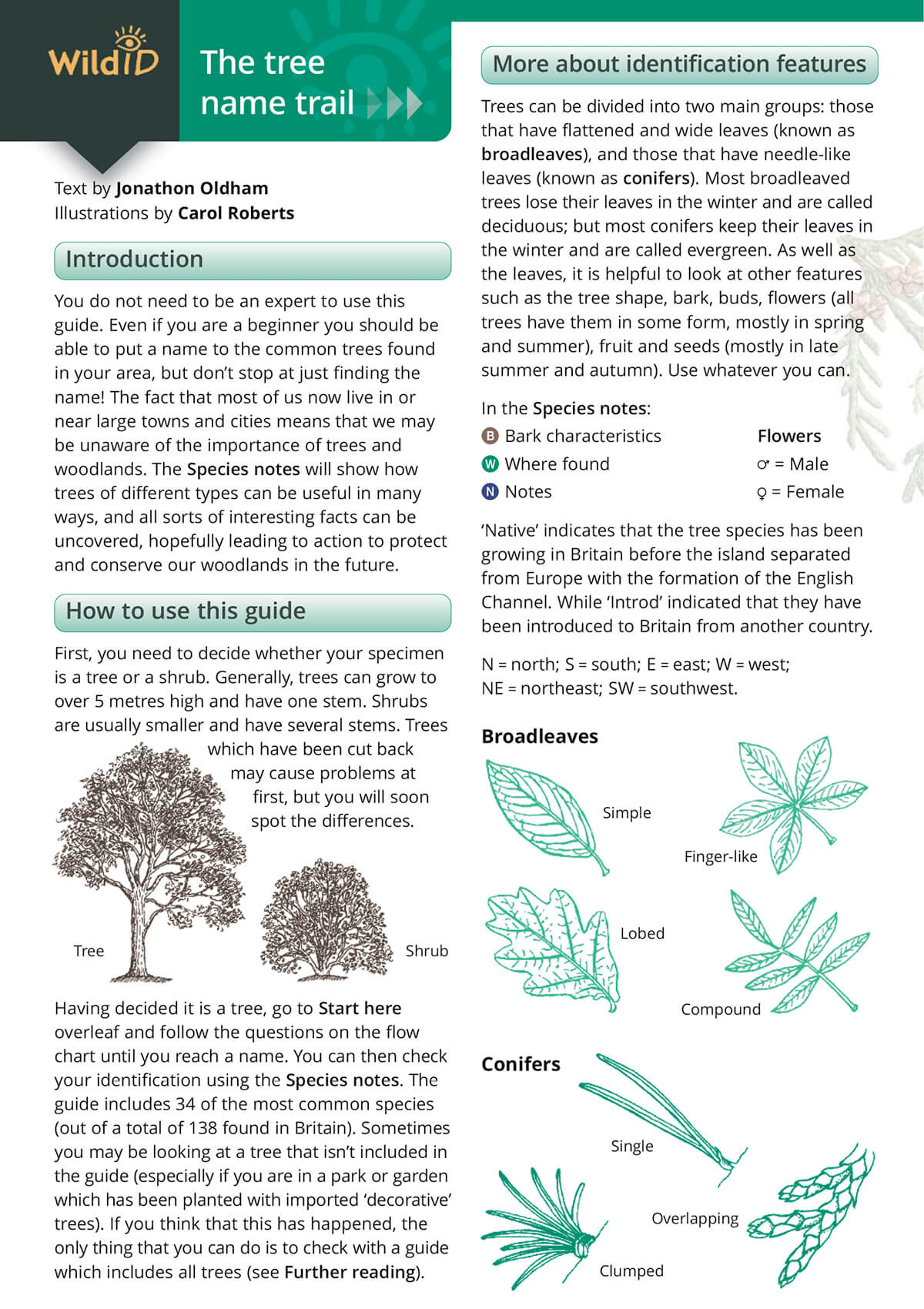Tree Name Trail