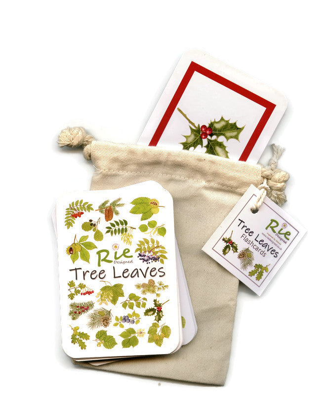 Flash Cards - Tree Leaves