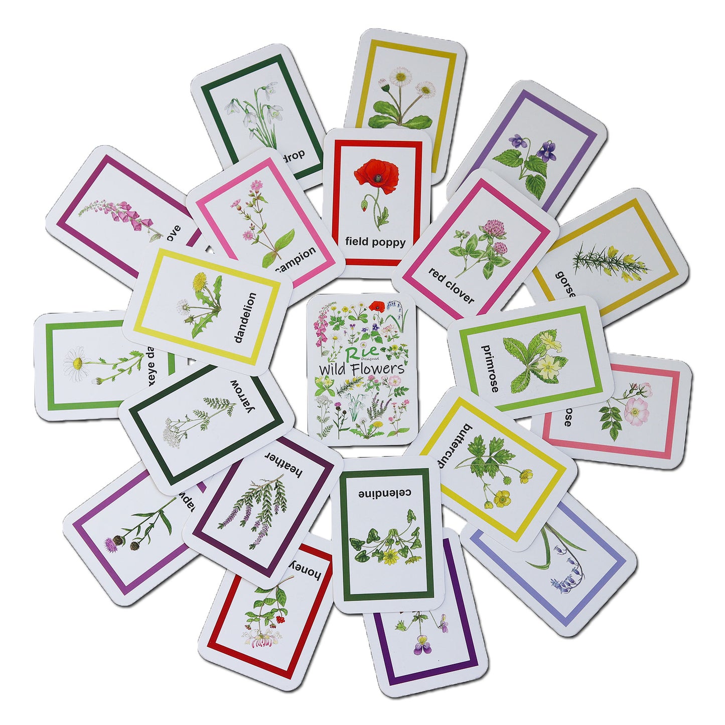 Flash Cards - Wildflowers