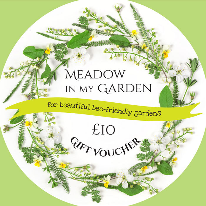 Gift Voucher