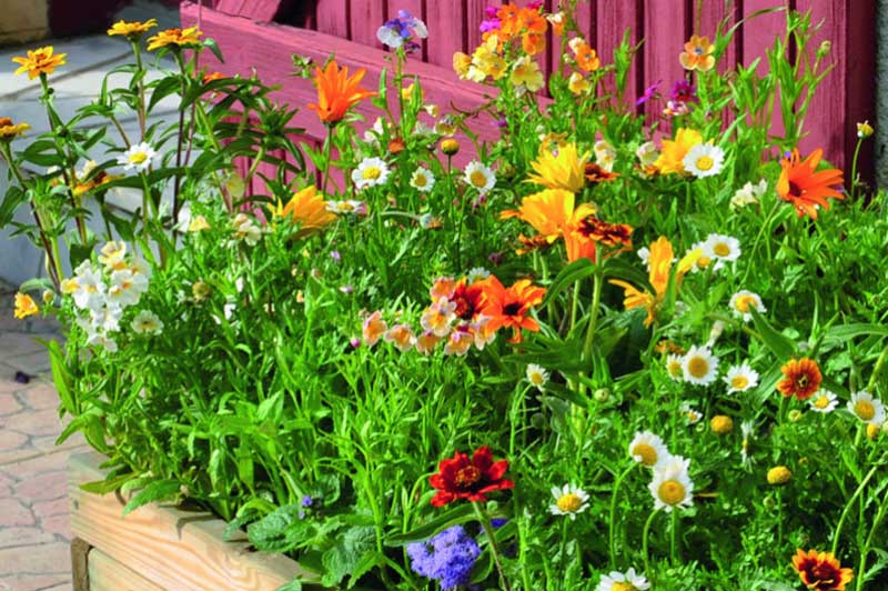 Planters