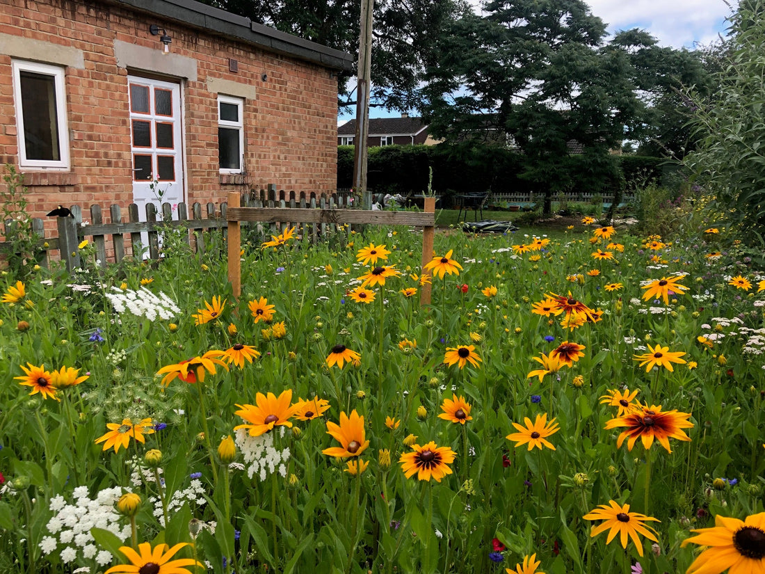 Our New Community Café