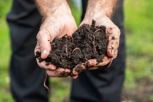 Meadows and Microbes
