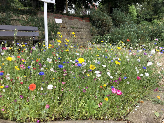 Can we help with your community projects?