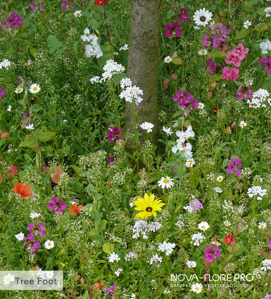 Pocket Meadows