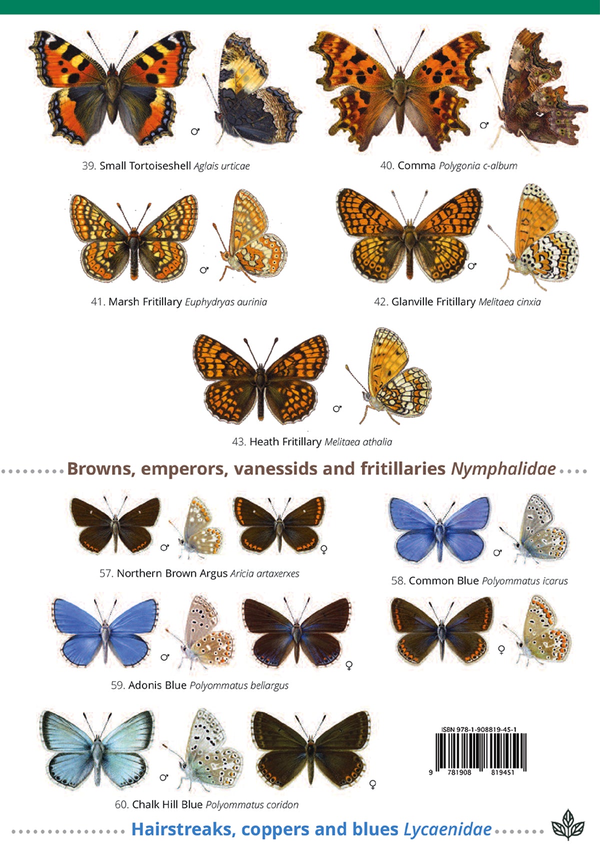 Butterflies of Britain