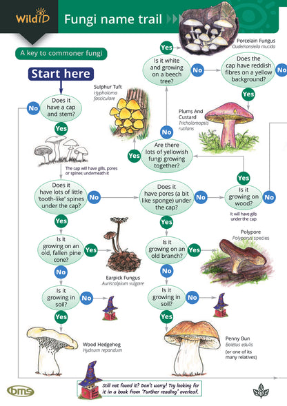 Fungi Name Trail