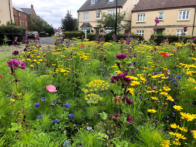 Bee Heaven