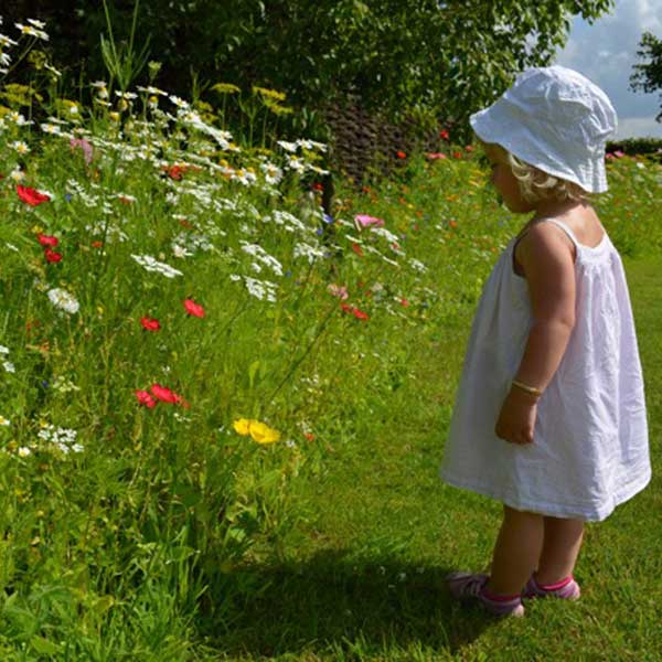 young child enjoying a drift of flowers