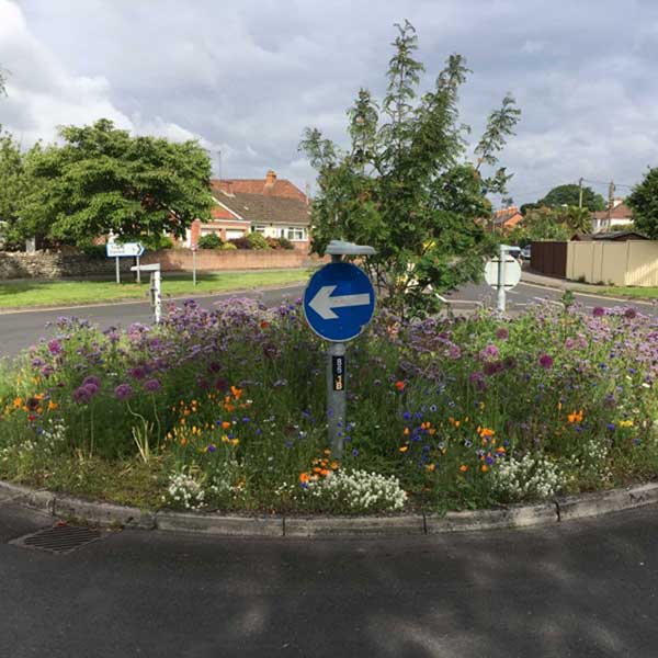 A roundabout filled with flowers