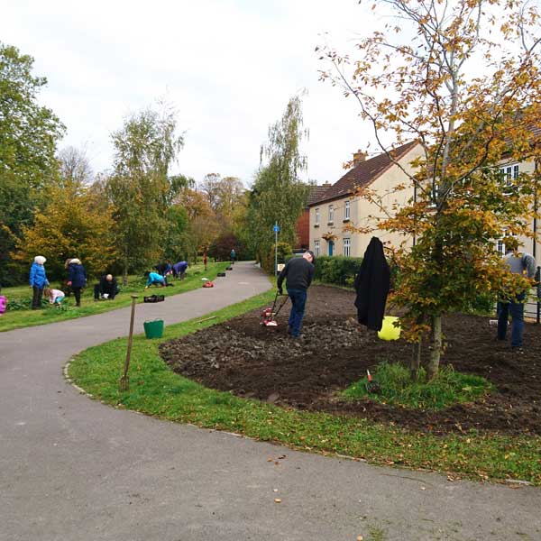 Volunteers preparing the ground in a ark ready to sow flower seeds