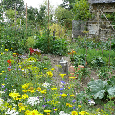 Veg Garden