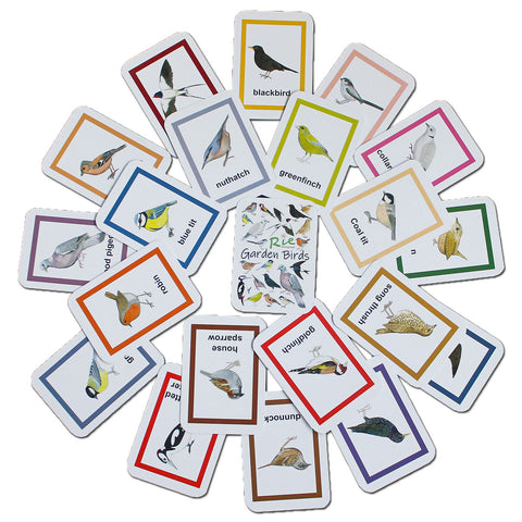 Flash Cards - Garden Birds
