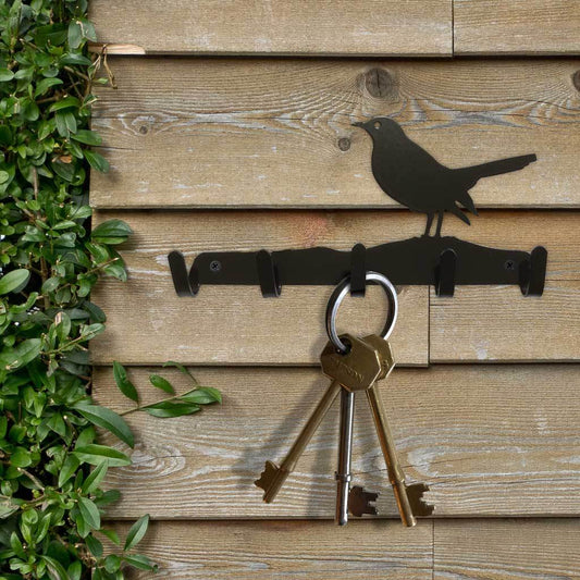 Key Hook - Blackbird