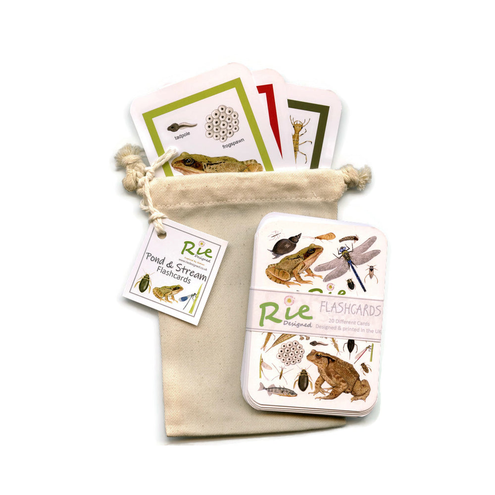 Lake Reeds Flashcard Flash Cards - Pond & Stream – Meadow in My Garden