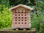 Solitary Bee Hive
