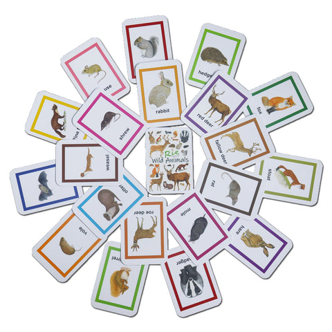 Flash Cards - Wild Animals