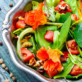 Nasturtium