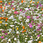 Perennial 100 sqm
